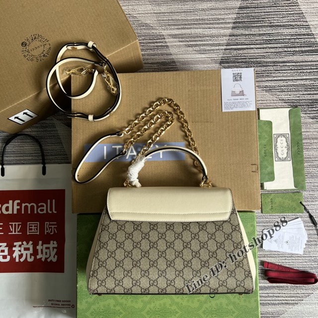 Gucci官網新款拼色手提肩背女包 古馳Gucci Horsebit 1958系列中號手袋702049 gqy4603